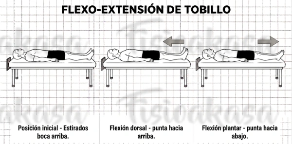Flexo-extensión de tobillo